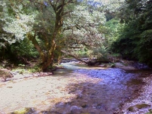 Tratto di fiume nell'Alto Aniene