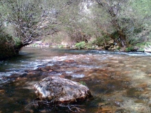 Tratto di fiume nell'Alto Aniene