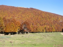 Campo Ceraso