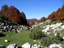 Campo Ceraso