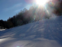 Monna dell'Orso Gennaio 2011