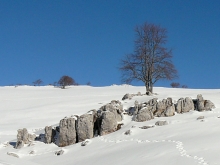 Monna dell'Orso Gennaio 2011