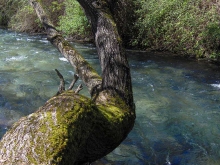 Nei pressi del Ponte di San Francesco fiume Aniene Subiaco