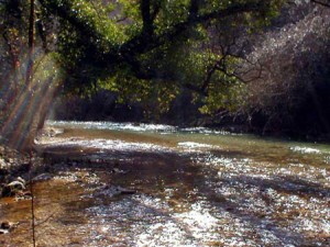 ANIENE FLY FISHING
