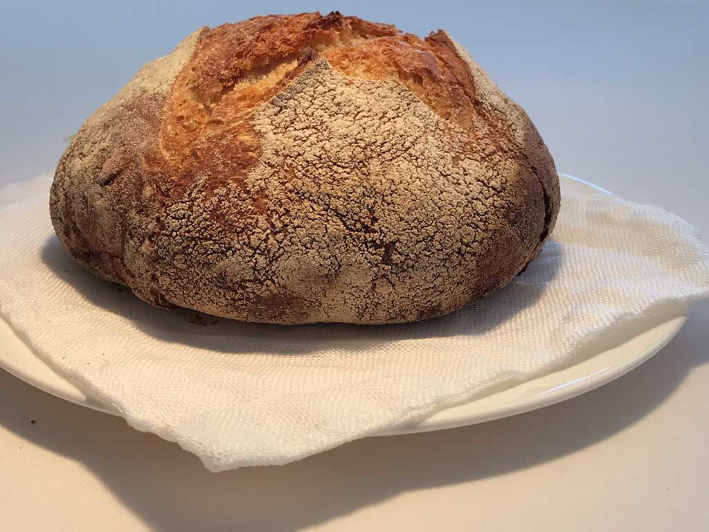 Pane