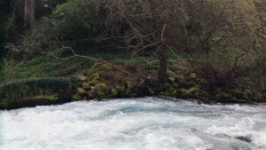 Aniene Fly Fishing